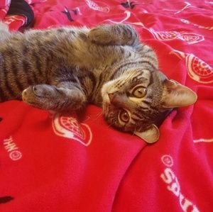 Meet your Posher, Erin